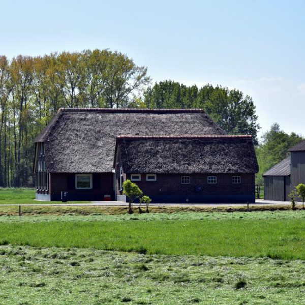 boerderij